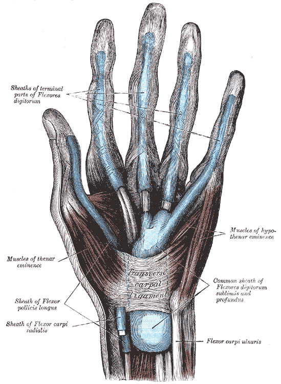 Carpal Tunnel Syndrome Surgery: Relief, Recovery & Care